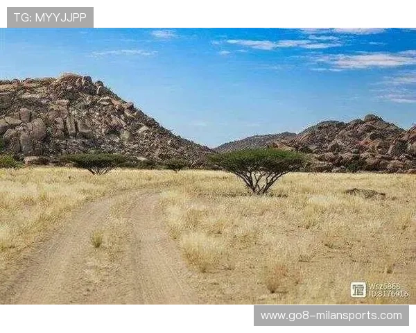 “罕见奇观：场上场下令人难以置信的趣味”，场上什么意思