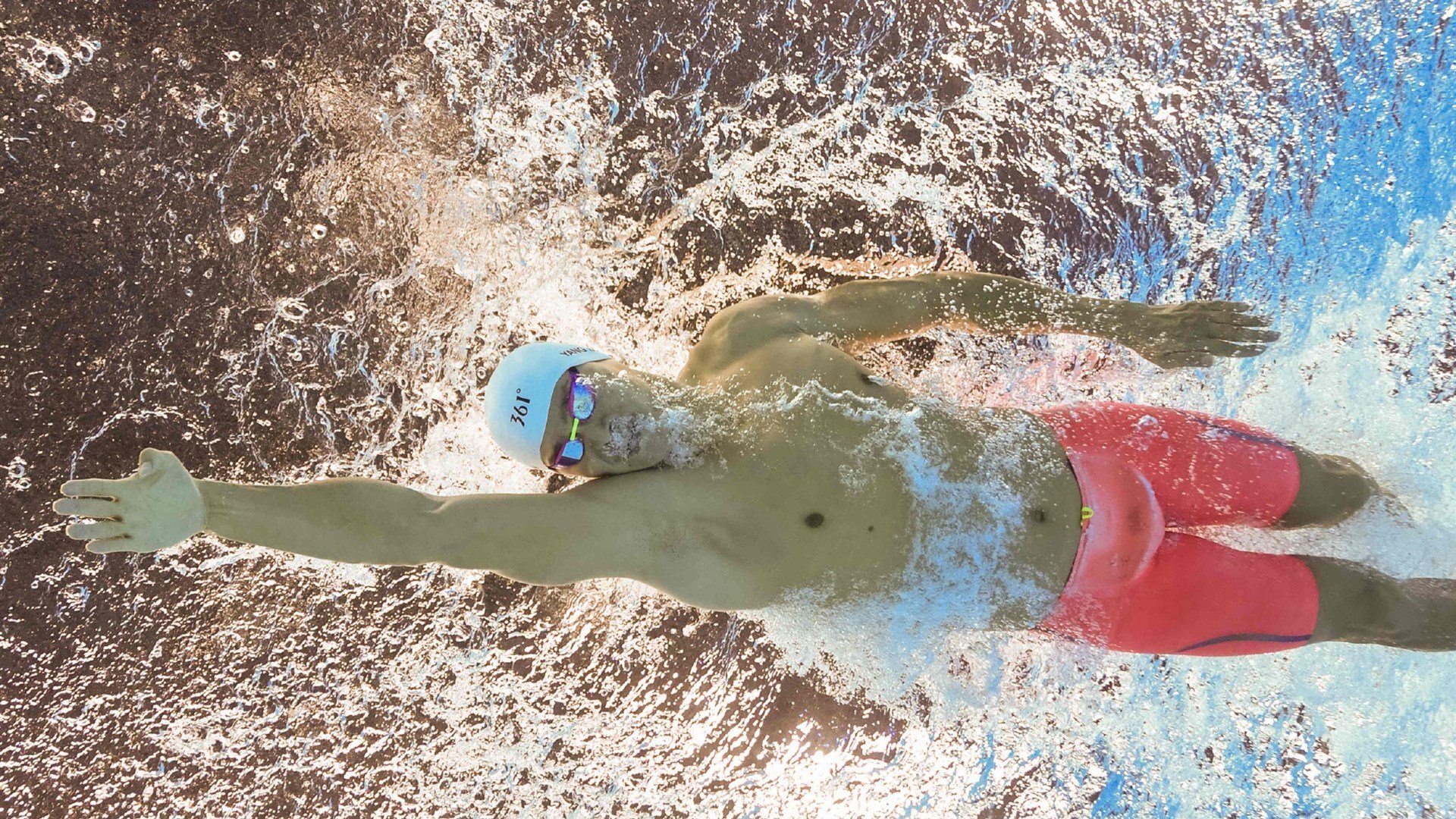 高地牧场越野跑 羊群与牛群在赛道旁悠闲吃草